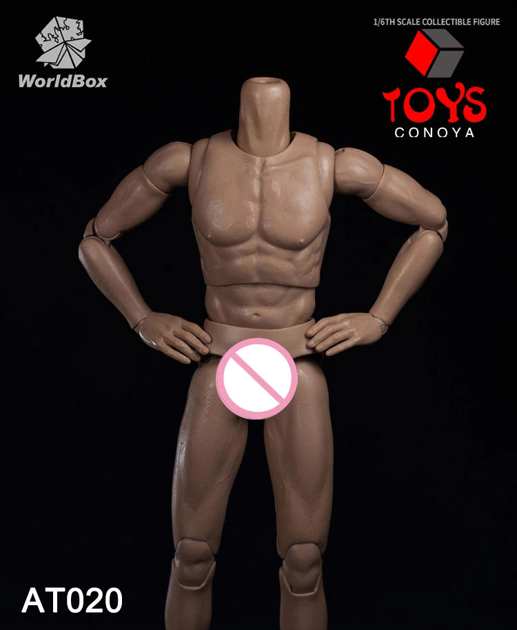 WorldBox 1/6 AT011 AT012 AT016 AT017 AT018 AT020 AT025 AT027 Male Muscle Joint Body 12