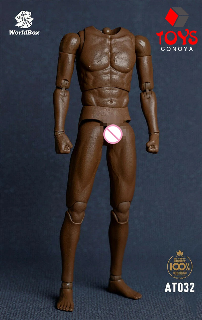 WorldBox 1/6 AT011 AT012 AT016 AT017 AT018 AT020 AT025 AT027 Male Muscle Joint Body 12