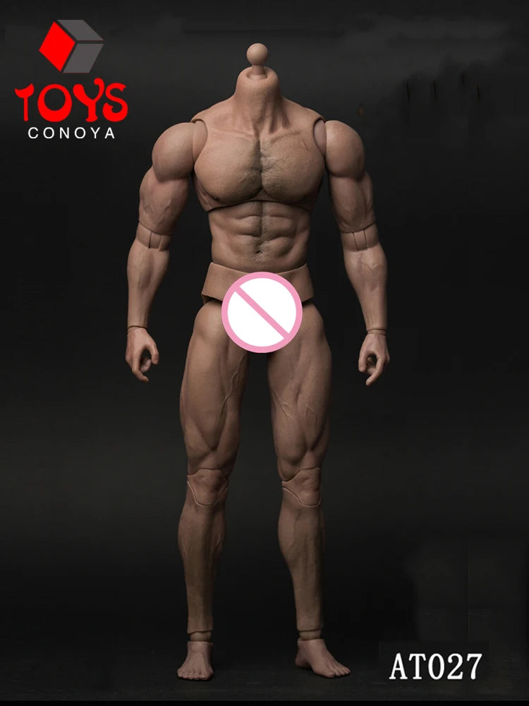 WorldBox 1/6 AT011 AT012 AT016 AT017 AT018 AT020 AT025 AT027 Male Muscle Joint Body 12