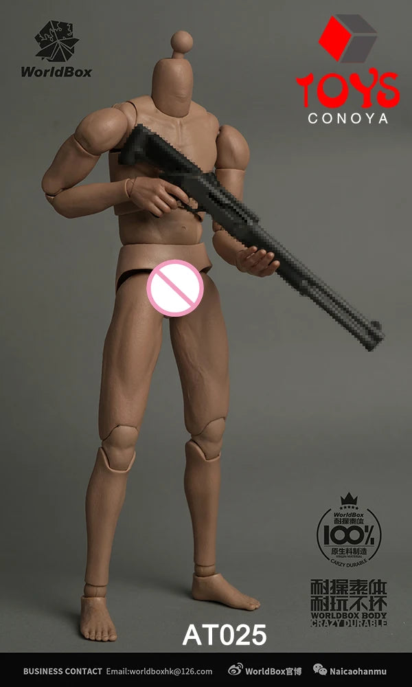 WorldBox 1/6 AT011 AT012 AT016 AT017 AT018 AT020 AT025 AT027 Male Muscle Joint Body 12