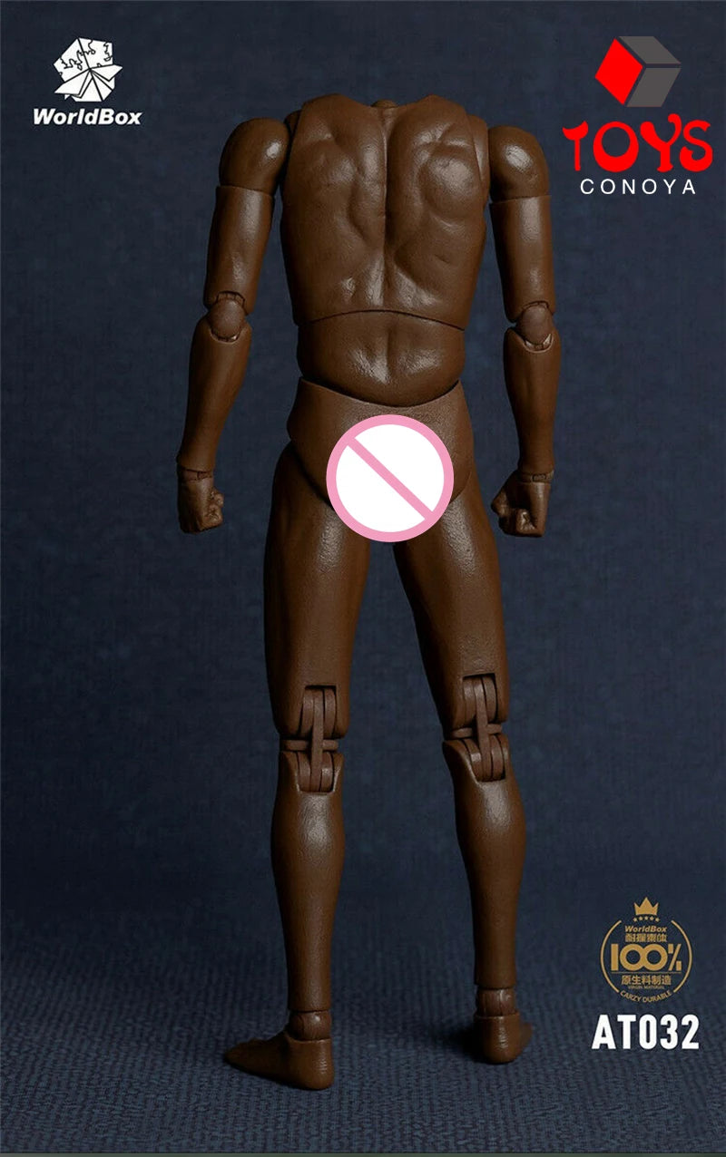 WorldBox 1/6 AT011 AT012 AT016 AT017 AT018 AT020 AT025 AT027 Male Muscle Joint Body 12