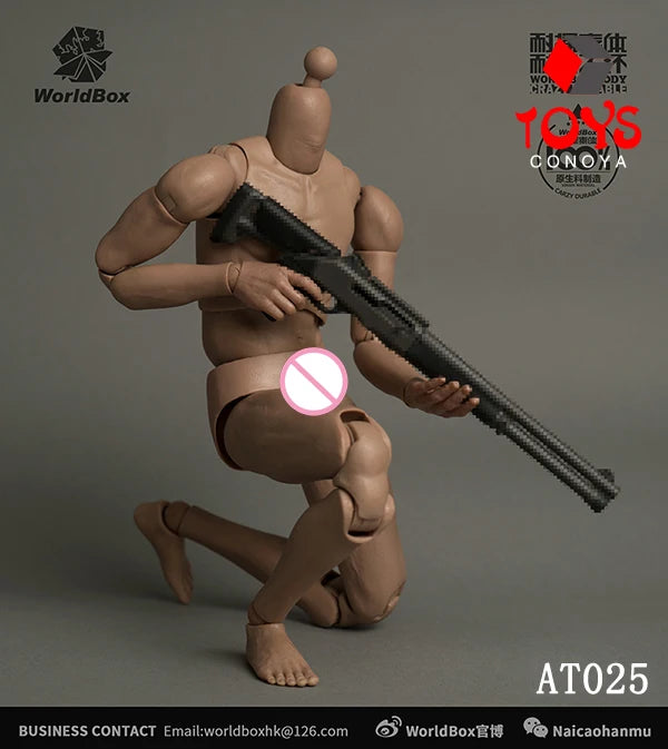 WorldBox 1/6 AT011 AT012 AT016 AT017 AT018 AT020 AT025 AT027 Male Muscle Joint Body 12