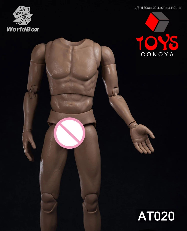 WorldBox 1/6 AT011 AT012 AT016 AT017 AT018 AT020 AT025 AT027 Male Muscle Joint Body 12