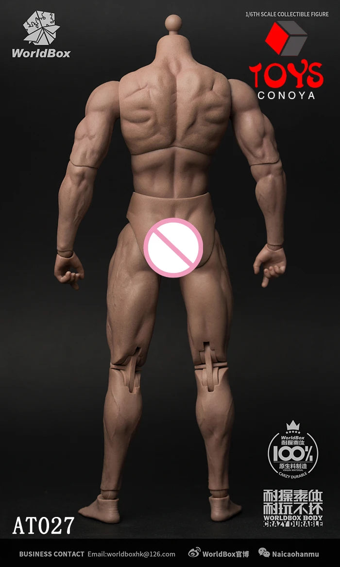 WorldBox 1/6 AT011 AT012 AT016 AT017 AT018 AT020 AT025 AT027 Male Muscle Joint Body 12