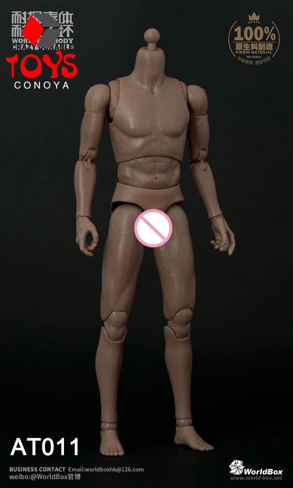 WorldBox 1/6 AT011 AT012 AT016 AT017 AT018 AT020 AT025 AT027 Male Muscle Joint Body 12
