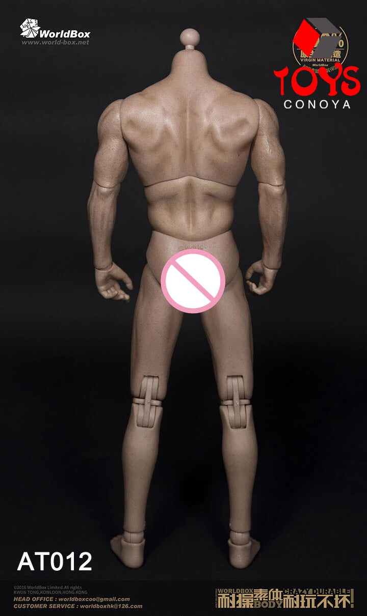 WorldBox 1/6 AT011 AT012 AT016 AT017 AT018 AT020 AT025 AT027 Male Muscle Joint Body 12