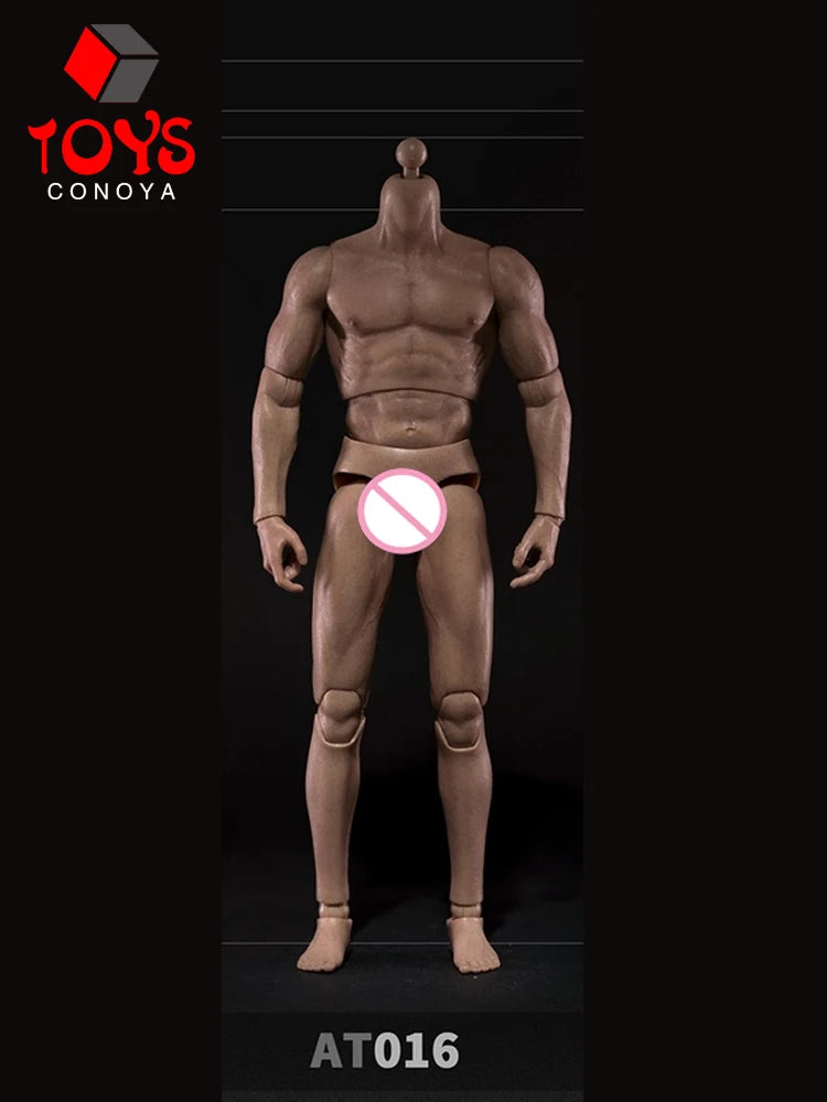WorldBox 1/6 AT011 AT012 AT016 AT017 AT018 AT020 AT025 AT027 Male Muscle Joint Body 12