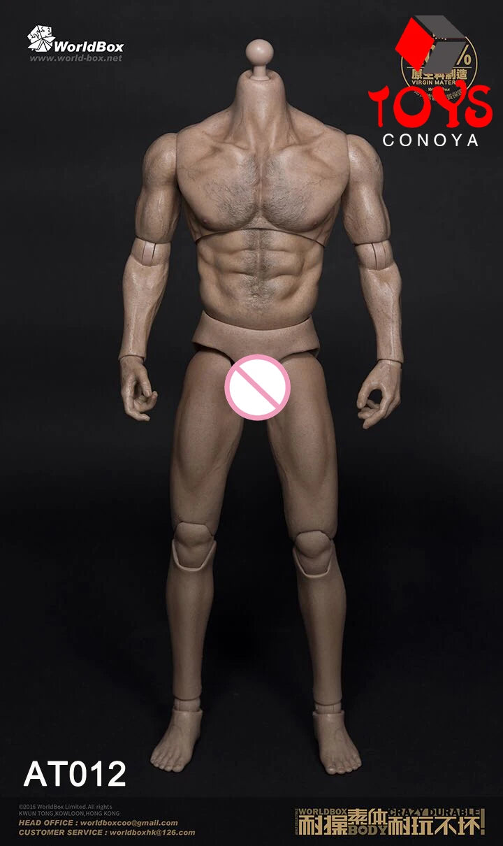WorldBox 1/6 AT011 AT012 AT016 AT017 AT018 AT020 AT025 AT027 Male Muscle Joint Body 12