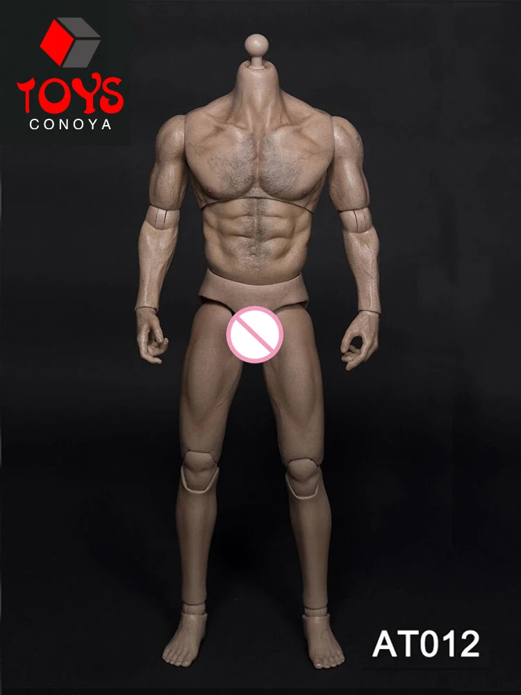 WorldBox 1/6 AT011 AT012 AT016 AT017 AT018 AT020 AT025 AT027 Male Muscle Joint Body 12