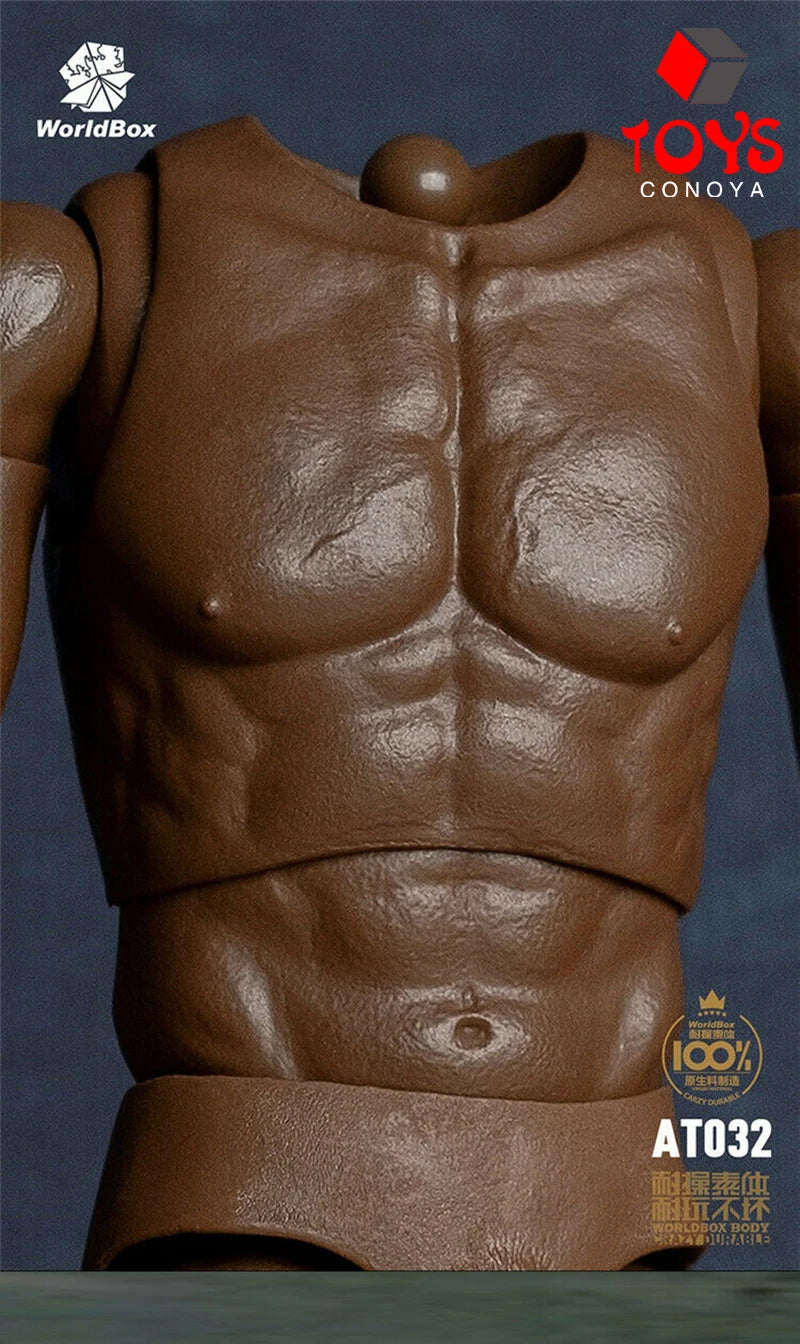 WorldBox 1/6 AT011 AT012 AT016 AT017 AT018 AT020 AT025 AT027 Male Muscle Joint Body 12