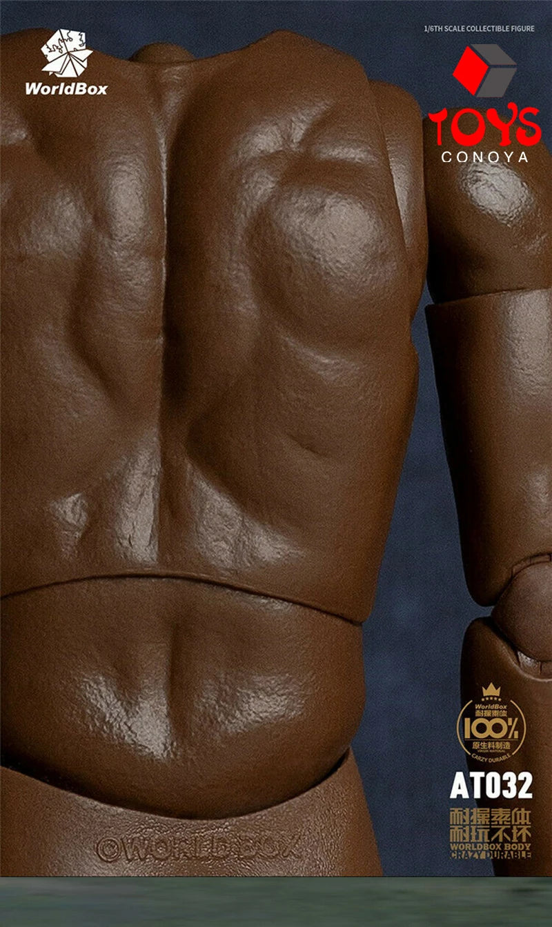 WorldBox 1/6 AT011 AT012 AT016 AT017 AT018 AT020 AT025 AT027 Male Muscle Joint Body 12