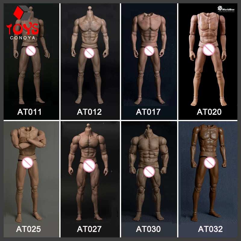WorldBox 1/6 AT011 AT012 AT016 AT017 AT018 AT020 AT025 AT027 Male Muscle Joint Body 12