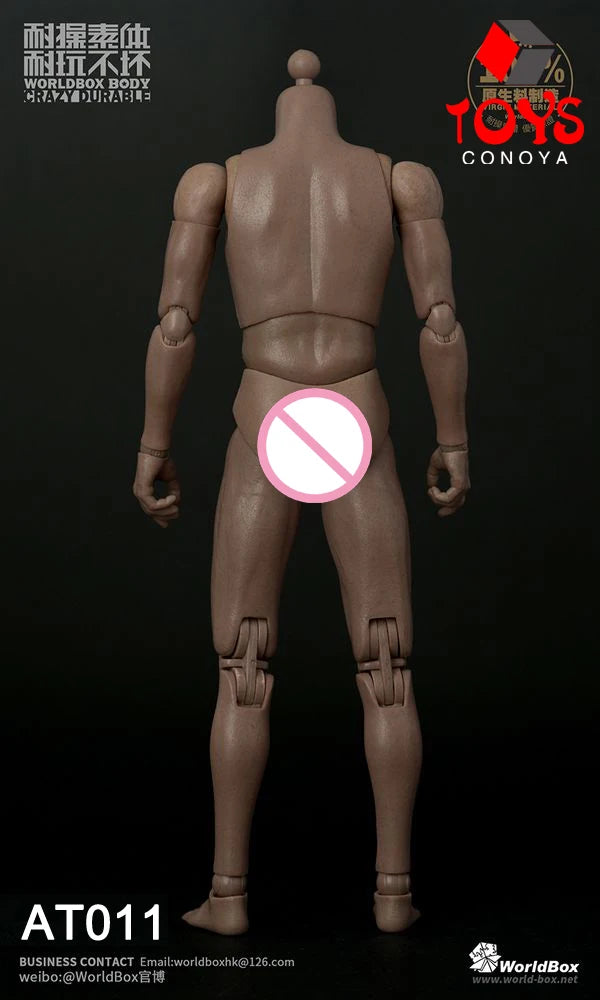WorldBox 1/6 AT011 AT012 AT016 AT017 AT018 AT020 AT025 AT027 Male Muscle Joint Body 12