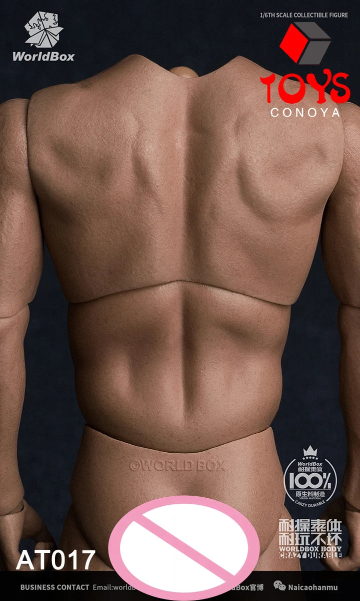 WorldBox 1/6 AT011 AT012 AT016 AT017 AT018 AT020 AT025 AT027 Male Muscle Joint Body 12