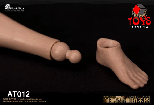 WorldBox 1/6 AT011 AT012 AT016 AT017 AT018 AT020 AT025 AT027 Male Muscle Joint Body 12