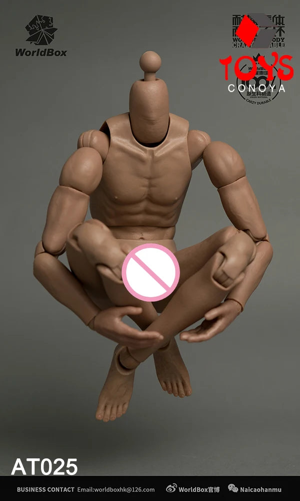 WorldBox 1/6 AT011 AT012 AT016 AT017 AT018 AT020 AT025 AT027 Male Muscle Joint Body 12