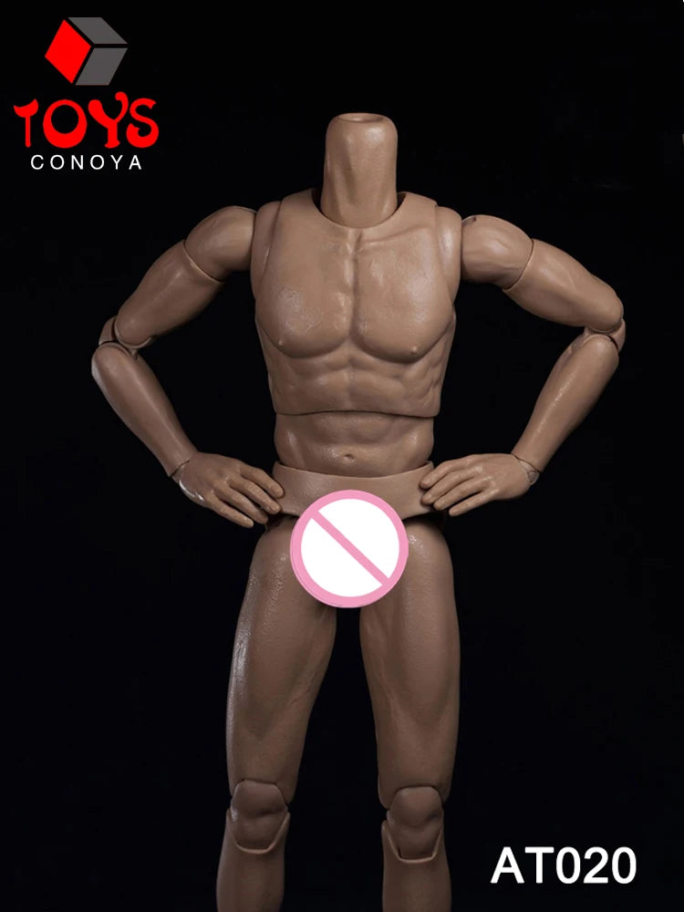WorldBox 1/6 AT011 AT012 AT016 AT017 AT018 AT020 AT025 AT027 Male Muscle Joint Body 12