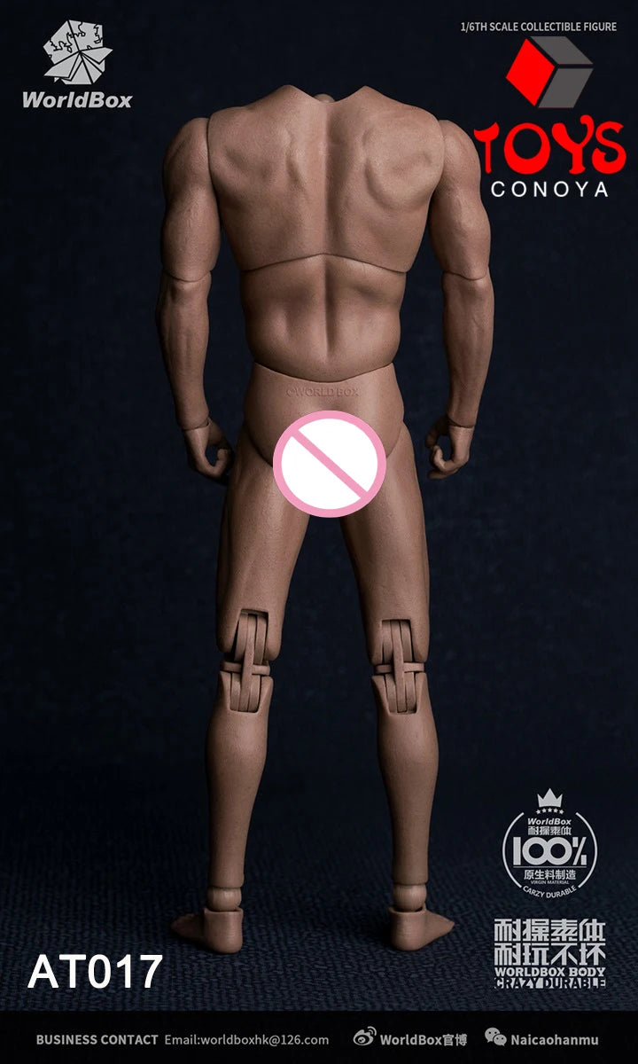WorldBox 1/6 AT011 AT012 AT016 AT017 AT018 AT020 AT025 AT027 Male Muscle Joint Body 12