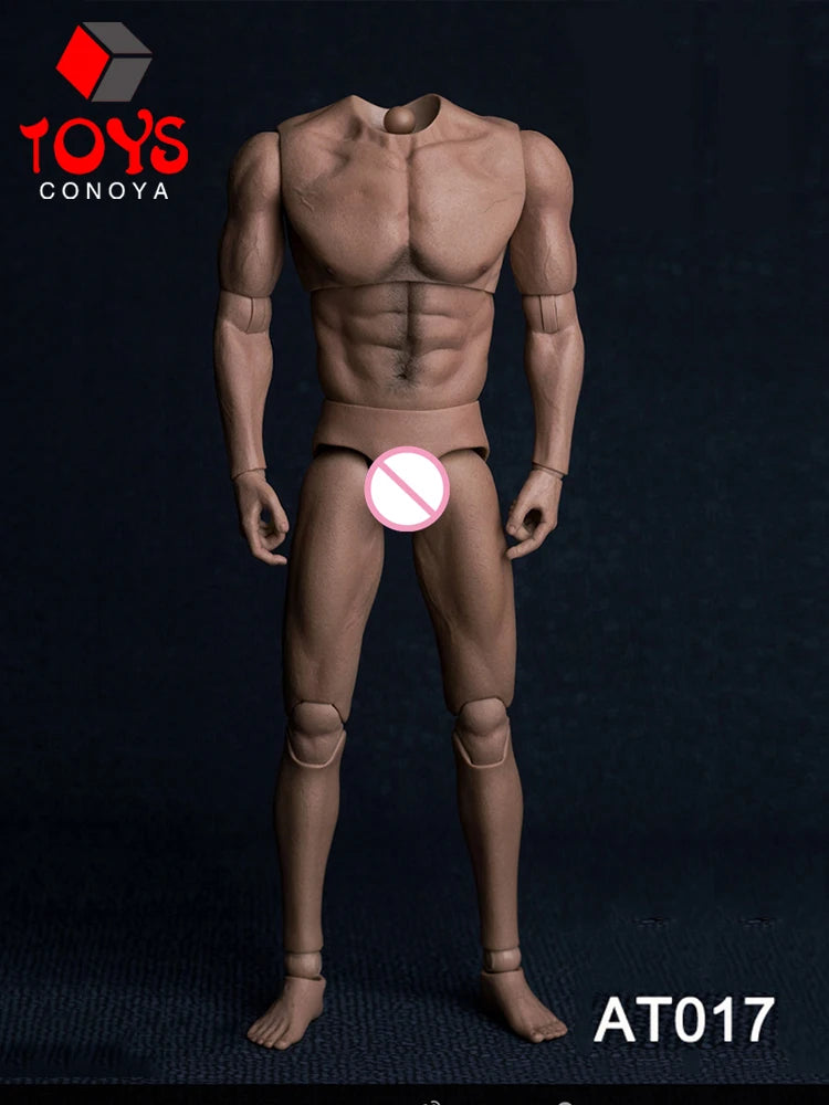 WorldBox 1/6 AT011 AT012 AT016 AT017 AT018 AT020 AT025 AT027 Male Muscle Joint Body 12