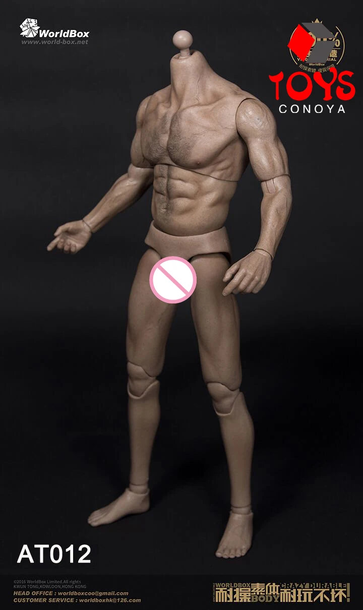 WorldBox 1/6 AT011 AT012 AT016 AT017 AT018 AT020 AT025 AT027 Male Muscle Joint Body 12