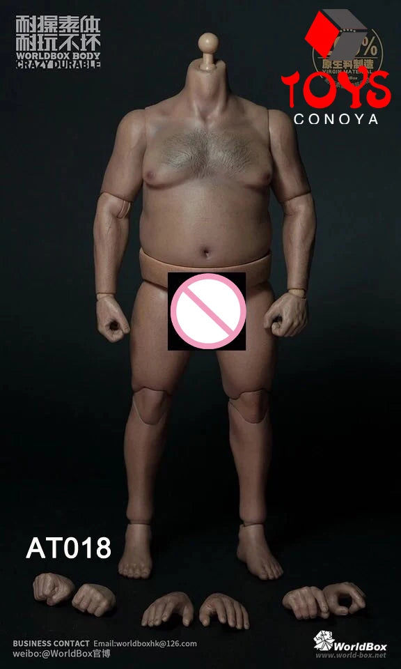 WorldBox 1/6 AT011 AT012 AT016 AT017 AT018 AT020 AT025 AT027 Male Muscle Joint Body 12