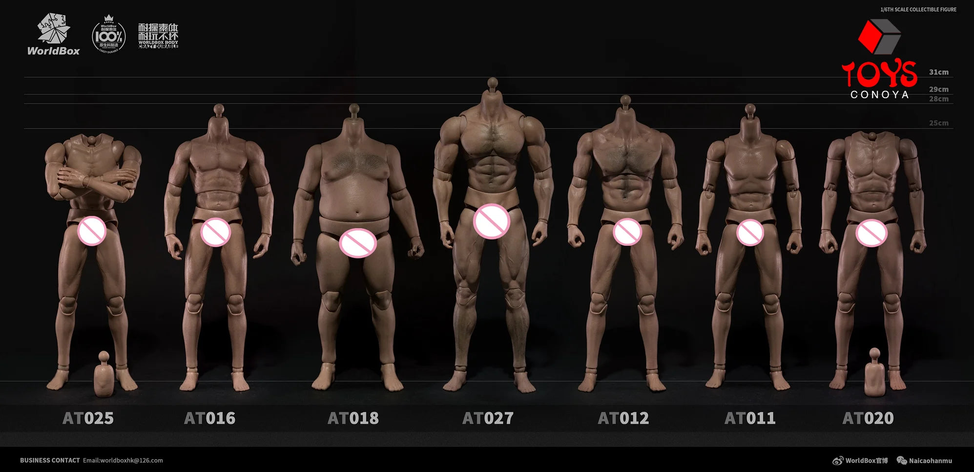 WorldBox 1/6 AT011 AT012 AT016 AT017 AT018 AT020 AT025 AT027 Male Muscle Joint Body 12